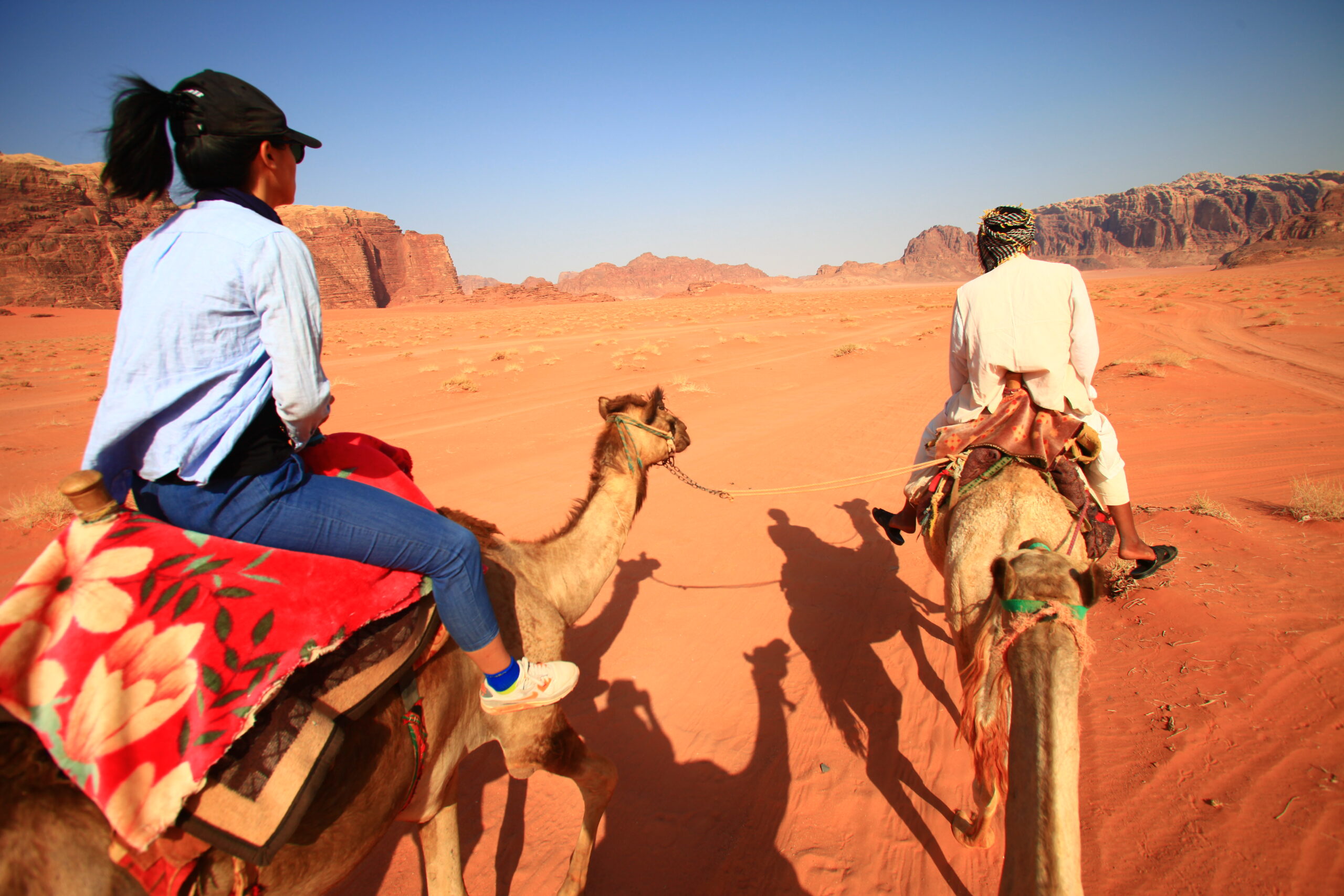 one day _ one night - camels trekking (3)